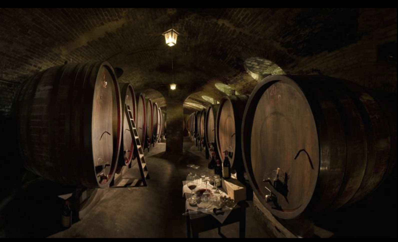 AZIENDA AGRICOLA PODERI MARCARINI